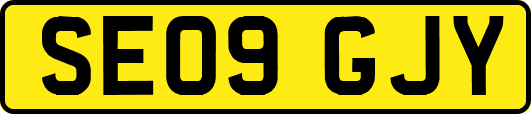 SE09GJY