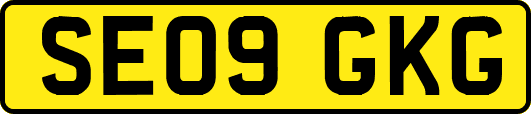 SE09GKG