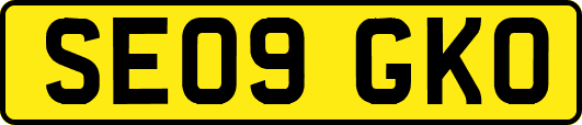 SE09GKO