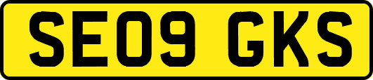 SE09GKS