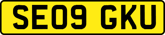 SE09GKU