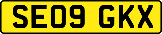 SE09GKX
