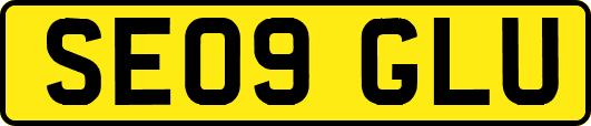 SE09GLU