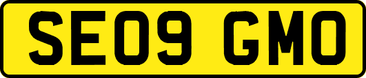 SE09GMO