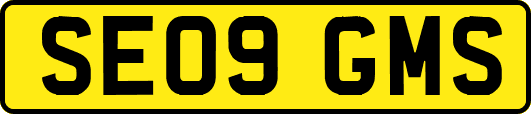 SE09GMS