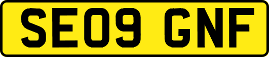 SE09GNF