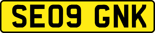SE09GNK