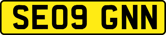 SE09GNN