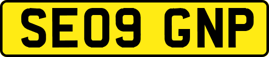 SE09GNP