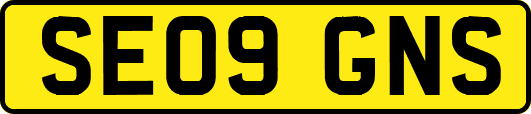 SE09GNS