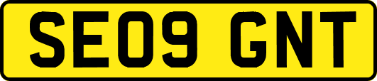 SE09GNT