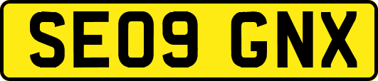 SE09GNX