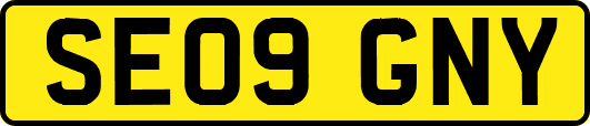 SE09GNY