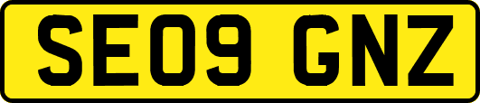 SE09GNZ