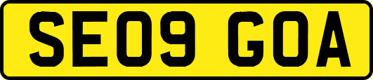 SE09GOA