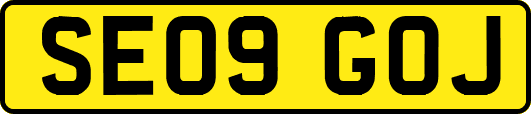 SE09GOJ