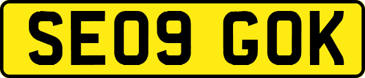 SE09GOK