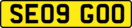 SE09GOO