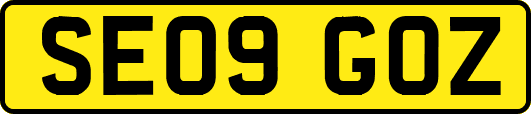 SE09GOZ
