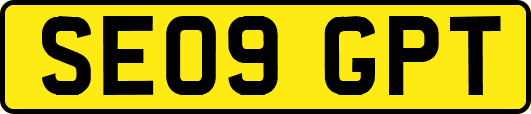SE09GPT