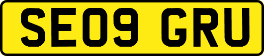 SE09GRU