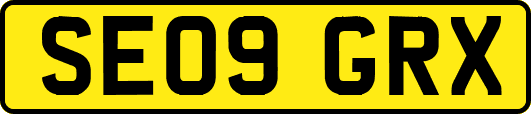SE09GRX