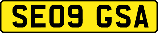 SE09GSA