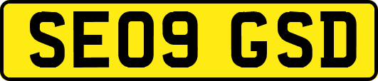 SE09GSD