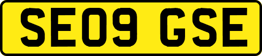 SE09GSE
