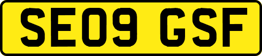 SE09GSF