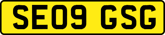 SE09GSG