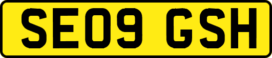 SE09GSH