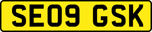 SE09GSK