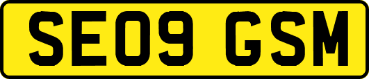 SE09GSM
