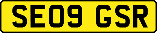 SE09GSR