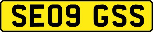 SE09GSS