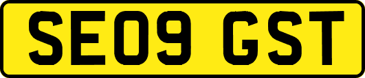 SE09GST
