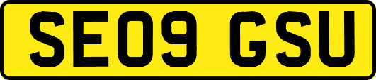 SE09GSU