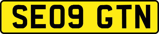 SE09GTN