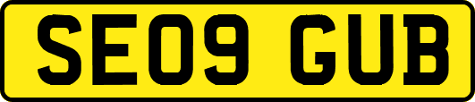 SE09GUB