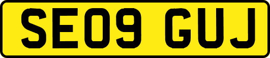 SE09GUJ