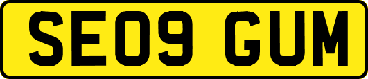 SE09GUM