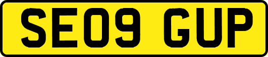 SE09GUP