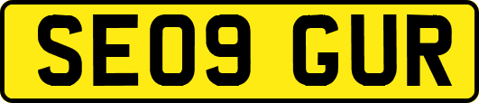 SE09GUR