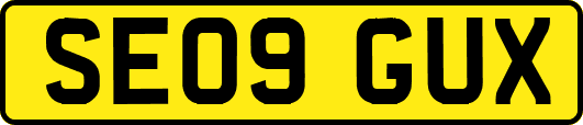 SE09GUX