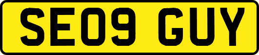 SE09GUY