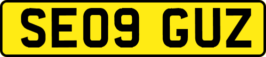 SE09GUZ