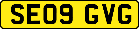 SE09GVG