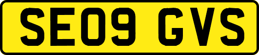 SE09GVS