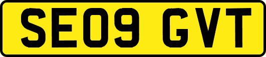 SE09GVT